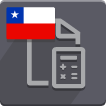 CBMS ERP Chile - Accounting Reports