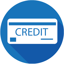 CBMS ERP POS Credit Limit