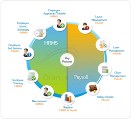 [sh_all_in_one_hrms] Human Resource Management Software - CBMS ERP HRMS A002